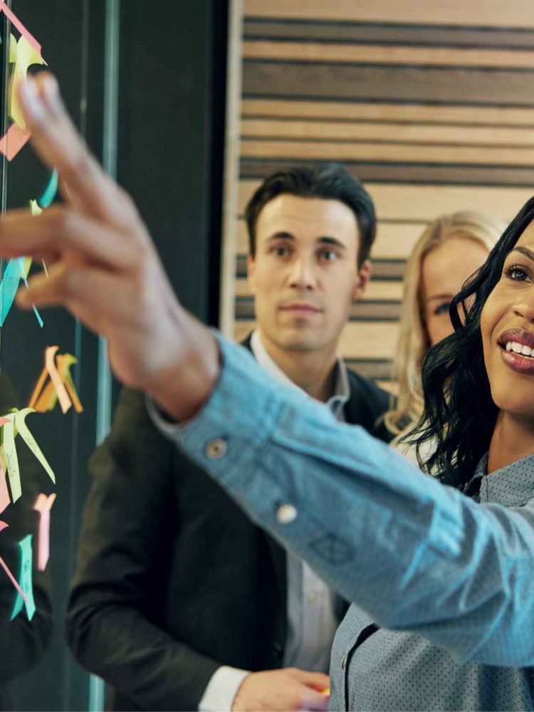 Woman Explaining the Plan to Office Team